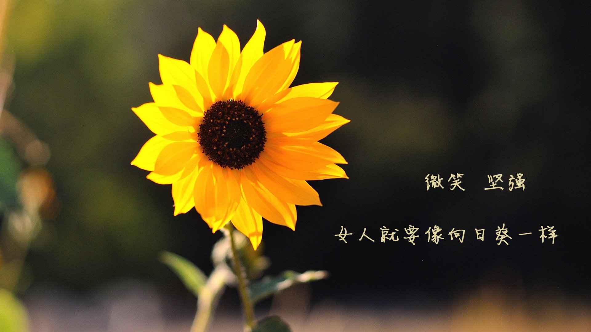 史上最“燃”季后赛夜战，哪场让你热血沸腾？，季后赛饭堂夜
