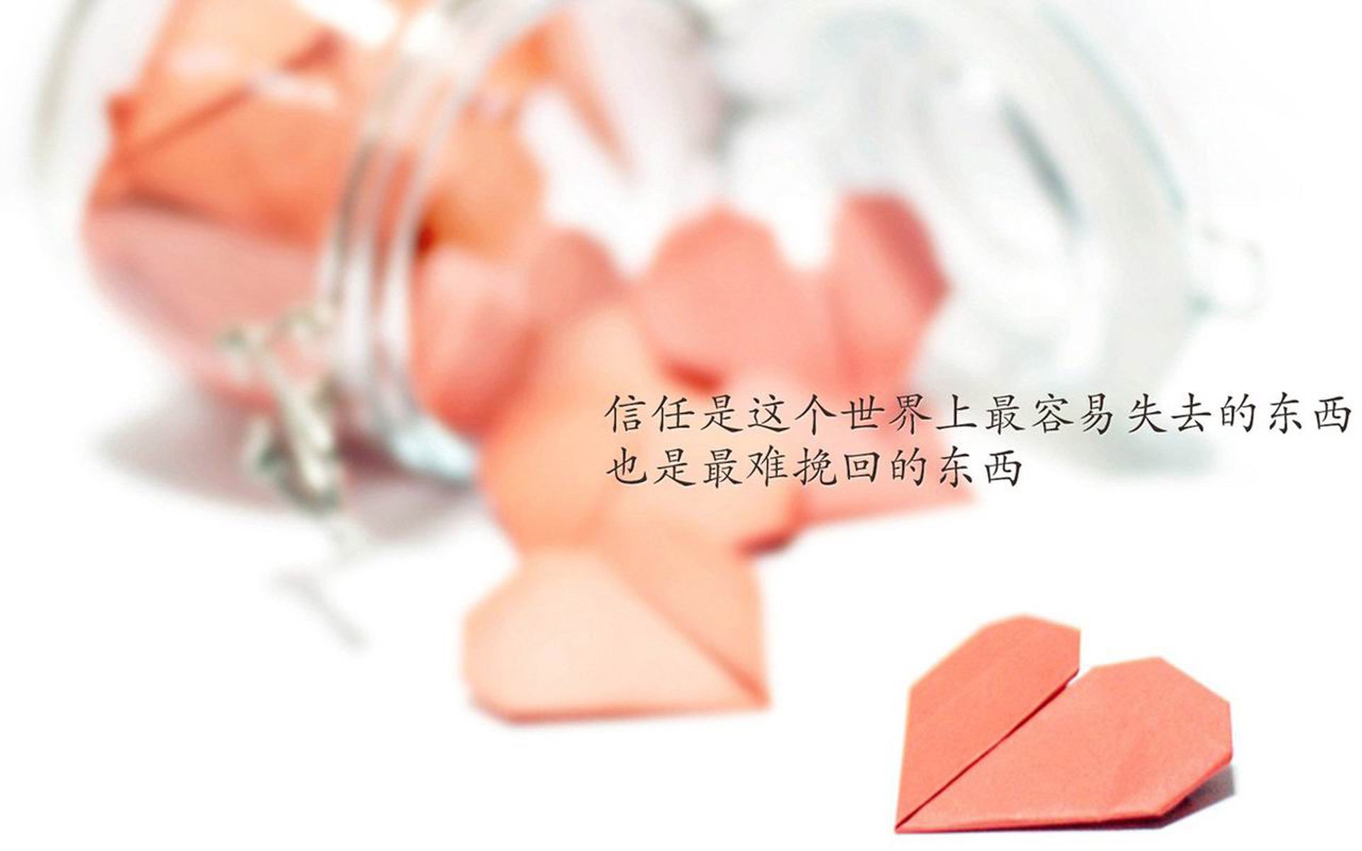 国际台球明星：他们的成功密码揭秘，台球名星