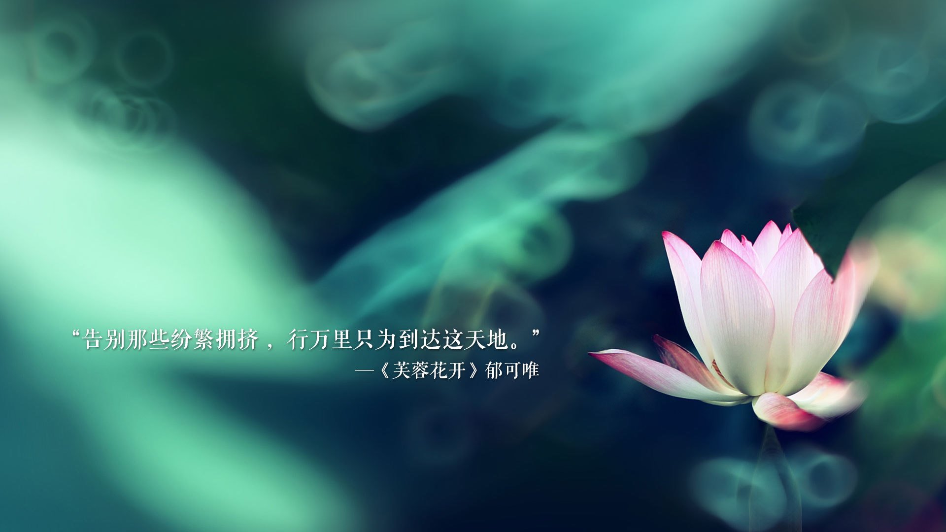 千叶喷射机战术调整见成效，千叶喷射机篮球队名单