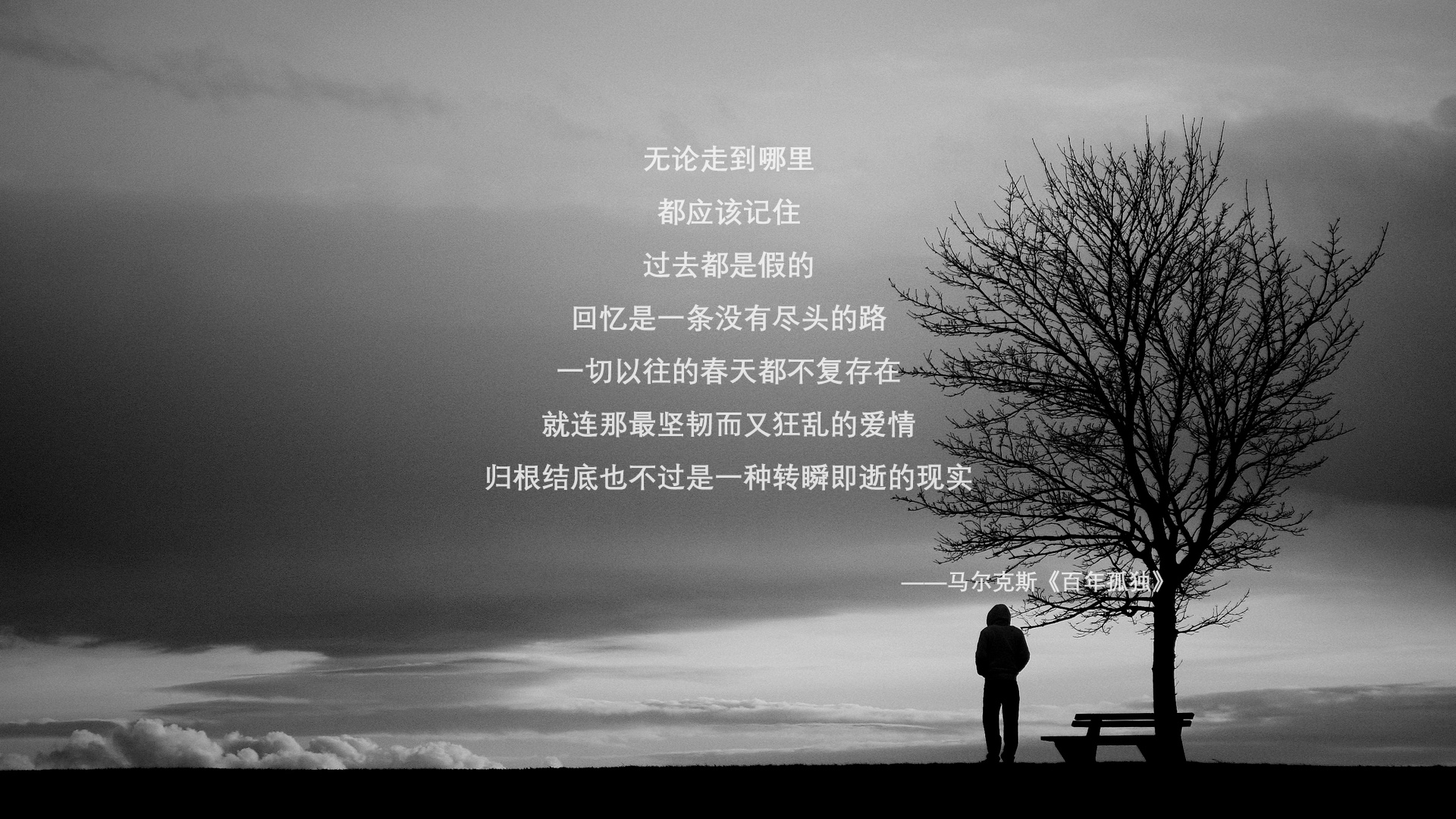 高校运动训练中技术分析方法研究，运动技术分析与训练