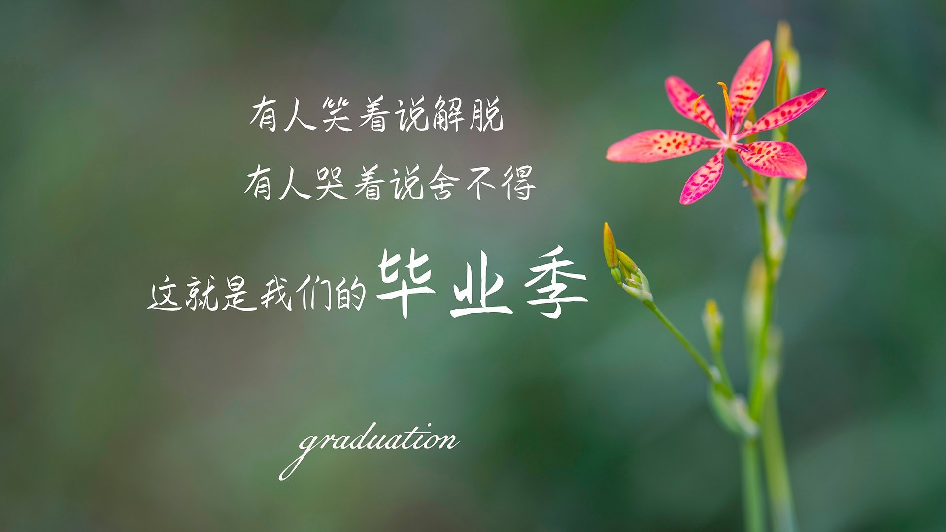 开云首页登录-球队是否围绕场地空间变化设定多套推进策略，分析球队状态从哪里入手