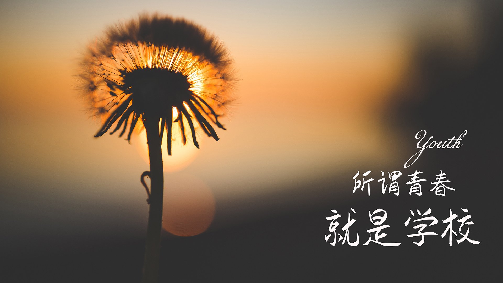 开云·Kaiyun网页版-灰熊重点加强球员心理建设保持比赛专注，灰熊最佳防守球员