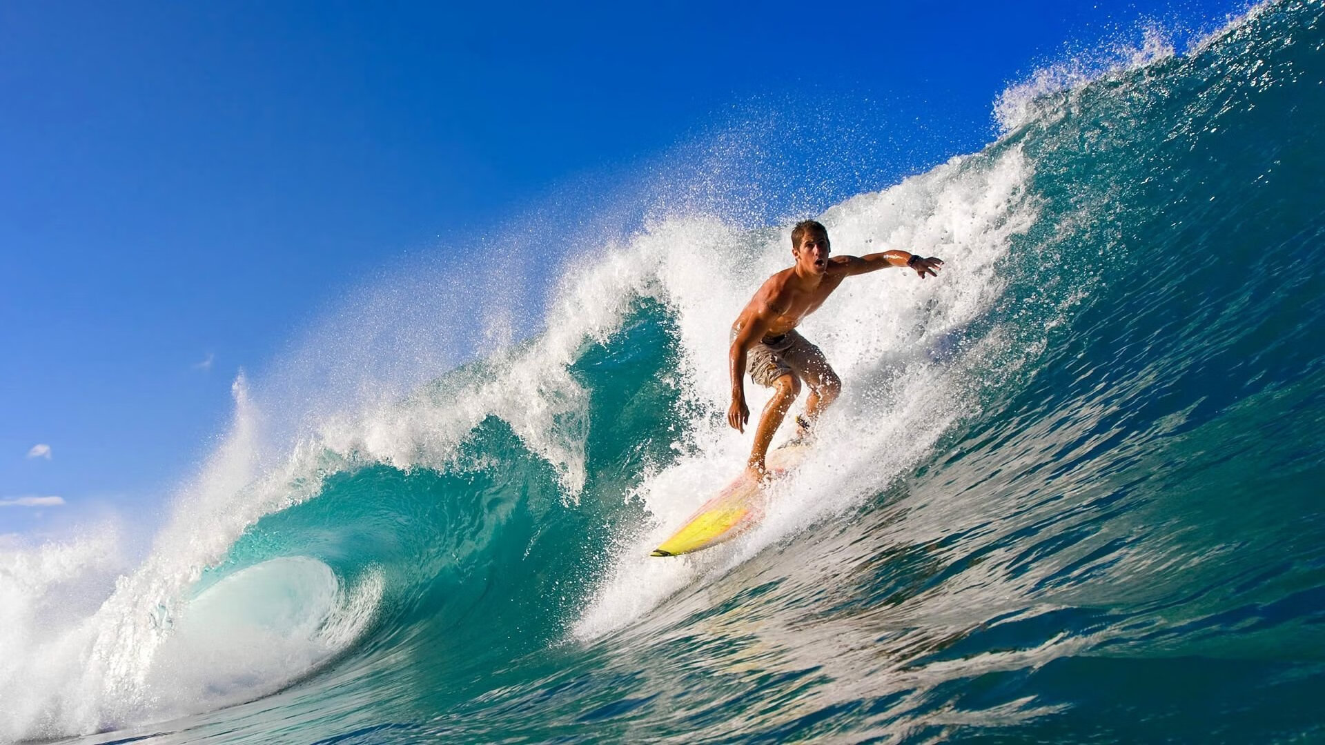关注细节：联盟中最严苛的规则调整解读，联盟的规矩